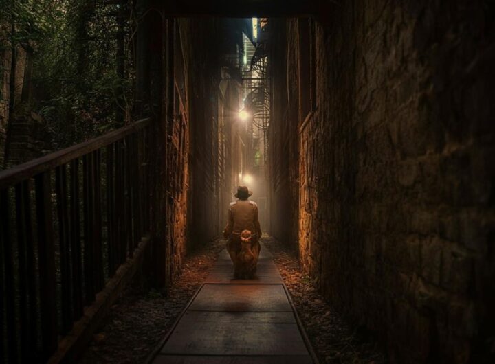 9719_1_traduzione_lingue-sologratis.it